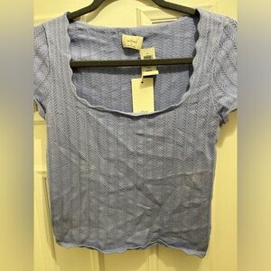 Wilfred Light Blue Knit Crop Top